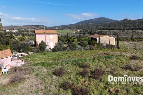 Landejendom i Capalbio, Grosseto, Capalbio - € 1.380.000 | Ref: v-244 - foto 5
