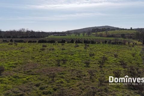 Landejendom i Capalbio, Grosseto, Capalbio - € 1.380.000 | Ref: v-244 - foto 6