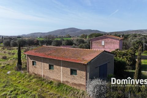 Landejendom i Capalbio, Grosseto, Capalbio - € 1.380.000 | Ref: v-244 - foto 8