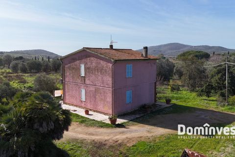 Landejendom i Capalbio, Grosseto, Capalbio - € 1.380.000 | Ref: v-244 - foto 10