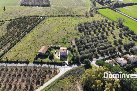 Landejendom i Capalbio, Grosseto, Capalbio - € 1.380.000 | Ref: v-244 - foto 11