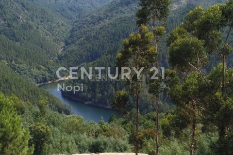 Helårsgrund i Paredes, Porto, Paredes - € 114.000 | Ref: C0256-03153 - foto 3