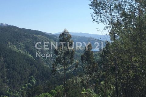 Helårsgrund i Paredes, Porto, Paredes - € 114.000 | Ref: C0256-03153 - foto 6