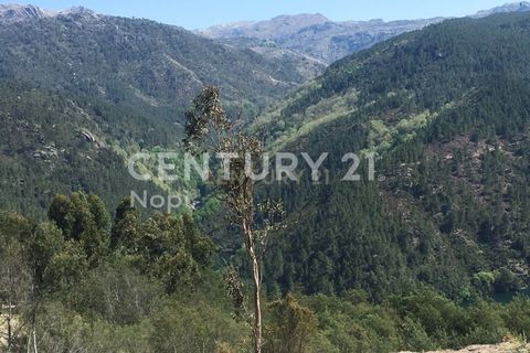 Helårsgrund i Paredes, Porto, Paredes - € 114.000 | Ref: C0256-03153 - foto 8