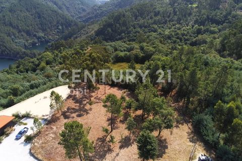 Helårsgrund i Paredes, Porto, Paredes - € 114.000 | Ref: C0256-03153 - foto 9