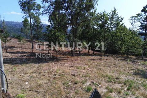 Helårsgrund i Paredes, Porto, Paredes - € 114.000 | Ref: C0256-03153 - foto 10