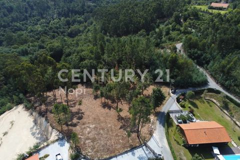 Helårsgrund i Paredes, Porto, Paredes - € 114.000 | Ref: C0256-03153 - foto 15