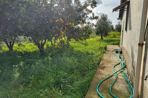 Terra a Eboli, Salerno, Eboli - € 50.000 | Ref: AV01-1040 - foto 2