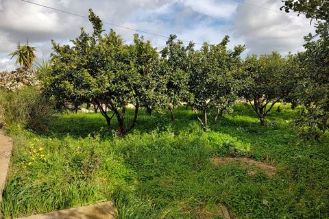 Terra a Eboli, Salerno, Eboli - € 50.000 | Ref: AV01-1040 - foto 3