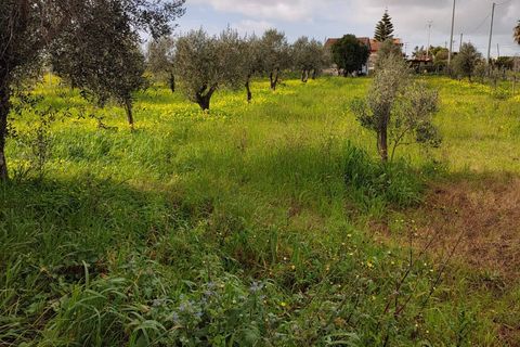 Terra a Eboli, Salerno, Eboli - € 50.000 | Ref: AV01-1040 - foto 4