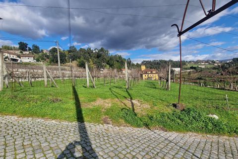 Masia a Amarante, Porto, Amarante - € 990.000 | Ref: C0406-02564 - foto 2