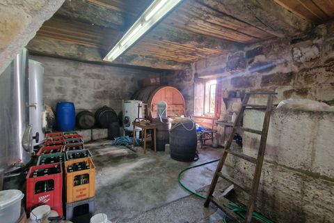 Masia a Amarante, Porto, Amarante - € 990.000 | Ref: C0406-02564 - foto 16