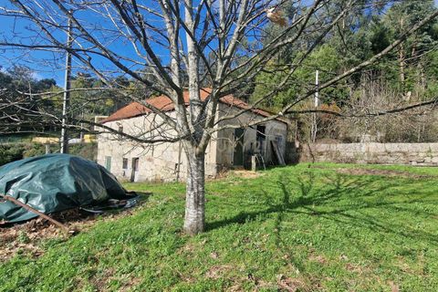 Masia a Amarante, Porto, Amarante - € 990.000 | Ref: C0406-02564 - foto 17