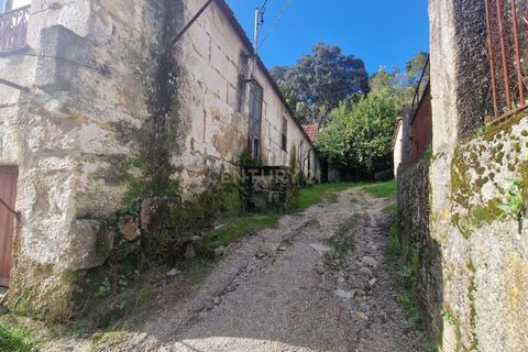 Masia a Amarante, Porto, Amarante - € 990.000 | Ref: C0406-02564 - foto 18