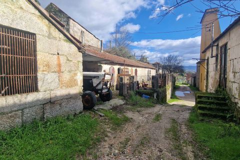 Masia a Amarante, Porto, Amarante - € 990.000 | Ref: C0406-02564 - foto 20