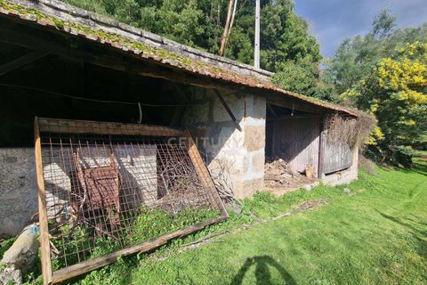 Masia a Amarante, Porto, Amarante - € 990.000 | Ref: C0406-02564 - foto 21