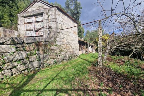Masia a Amarante, Porto, Amarante - € 990.000 | Ref: C0406-02564 - foto 22