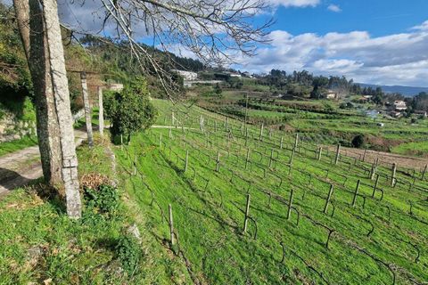 Masia a Amarante, Porto, Amarante - € 990.000 | Ref: C0406-02564 - foto 24