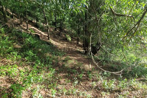 Masia a Amarante, Porto, Amarante - € 990.000 | Ref: C0406-02564 - foto 26