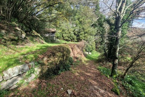 Masia a Amarante, Porto, Amarante - € 990.000 | Ref: C0406-02564 - foto 27