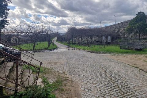 Masia a Amarante, Porto, Amarante - € 990.000 | Ref: C0406-02564 - foto 31