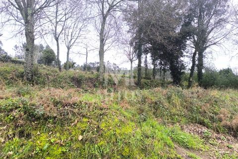 Helårsgrund i Barcelos, Braga, Barcelos - € 67.500 | Ref: S237 - foto 5