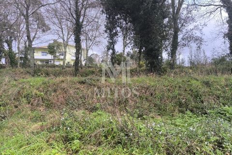 Helårsgrund i Barcelos, Braga, Barcelos - € 67.500 | Ref: S237 - foto 6