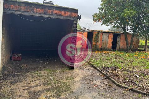 Villa i Agueda, Aveiro, Agueda - € 119.000 | Ref: CAS_1449 - foto 15