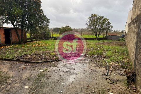 Villa i Agueda, Aveiro, Agueda - € 119.000 | Ref: CAS_1449 - foto 16