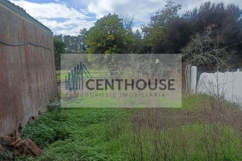 Villa i Cantanhede, Coimbra, Cantanhede - € 63.000 | Ref: C2529 - foto 4