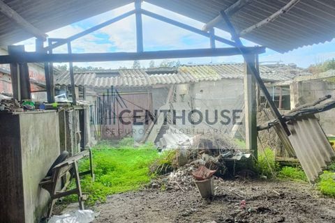 Villa i Cantanhede, Coimbra, Cantanhede - € 63.000 | Ref: C2529 - foto 8
