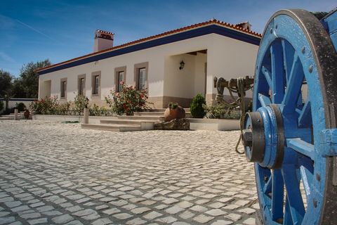 Villa a Alpalhao, Portalegre, Alpalhao - € 580.000 | Ref: L2025242 - foto 5