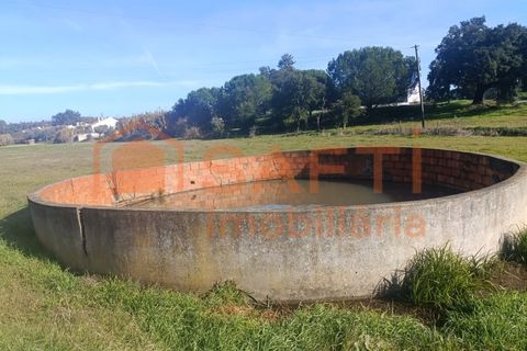 Helårsgrund i Chamusca, Santarem, Chamusca - € 26.000 | Ref: SAFTI:007726 - foto 3