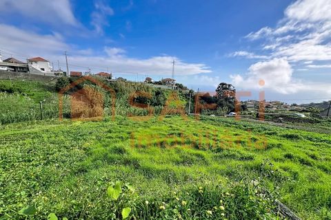 Helårsgrund i Ponta do Sol, Madeira, Ponta do Sol - € 105.000 | Ref: SAFTI:007717 - foto 4