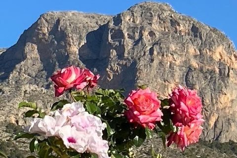 Villa i Polop, Alicante, Polop - € 525.000 | Ref: F1300/6084 - foto 36