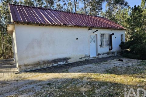 Byhus i Pombal, Leiria, Pombal - € 87.000 | Ref: 813693 - foto 8