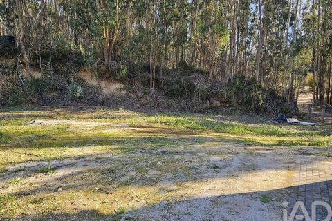 Byhus i Pombal, Leiria, Pombal - € 87.000 | Ref: 813693 - foto 9