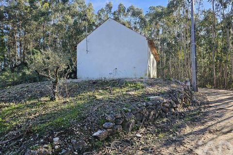 Byhus i Pombal, Leiria, Pombal - € 87.000 | Ref: 813693 - foto 11