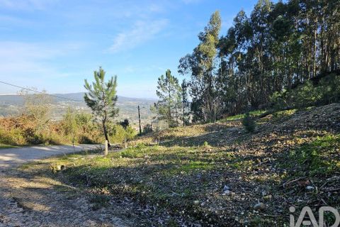 Byhus i Pombal, Leiria, Pombal - € 87.000 | Ref: 813693 - foto 14