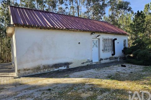 Byhus i Pombal, Leiria, Pombal - € 87.000 | Ref: 813693 - foto 15