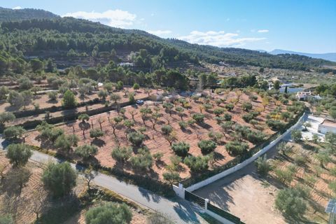 Terra a Ibi, Alicante, Ibi - € 159.000 | Ref: AG19MLSC4264463 - foto 2