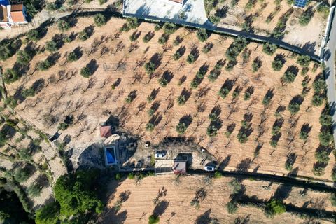 Terra a Ibi, Alicante, Ibi - € 159.000 | Ref: AG19MLSC4264463 - foto 3
