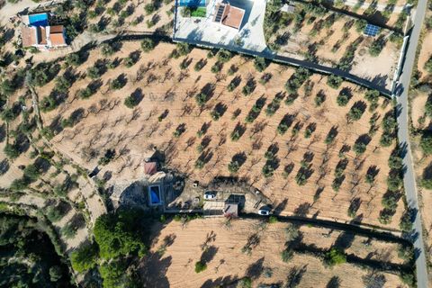 Terra a Ibi, Alicante, Ibi - € 159.000 | Ref: AG19MLSC4264463 - foto 4
