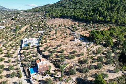Terra a Ibi, Alicante, Ibi - € 159.000 | Ref: AG19MLSC4264463 - foto 5