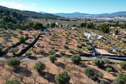 Terra a Ibi, Alicante, Ibi - € 159.000 | Ref: AG19MLSC4264463 - foto 7