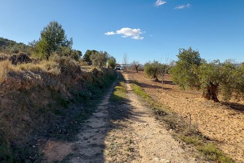 Terra a Ibi, Alicante, Ibi - € 159.000 | Ref: AG19MLSC4264463 - foto 13