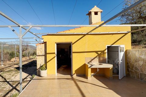 Terra a Ibi, Alicante, Ibi - € 159.000 | Ref: AG19MLSC4264463 - foto 15
