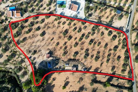 Terra a Ibi, Alicante, Ibi - € 159.000 | Ref: AG19MLSC4264463 - foto 18