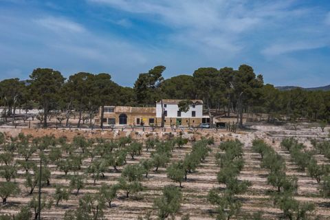 Leilighet i Castalla, Alicante, Castalla - € 799 000 | Ref: AG19MLSC5692467 - foto 18