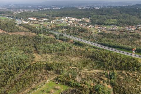 Tomt i Assafarge e Antanhol, Coimbra, Assafarge e Antanhol - € 60 000 | Ref: LUX_CB-01201 - foto 6